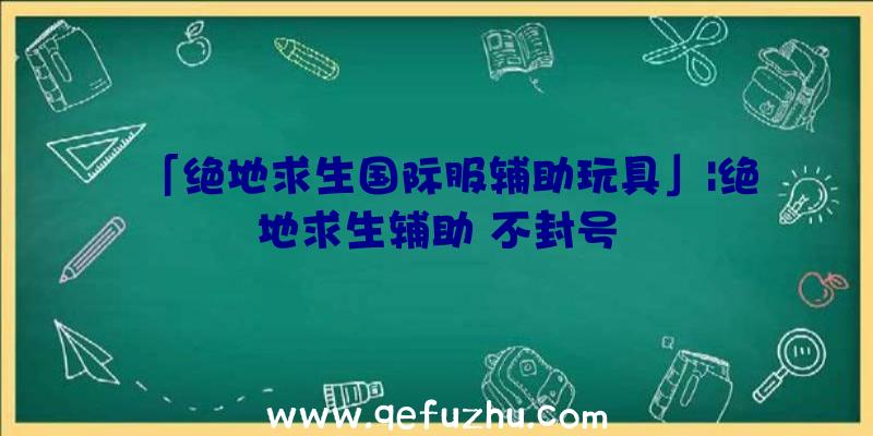 「绝地求生国际服辅助玩具」|绝地求生辅助